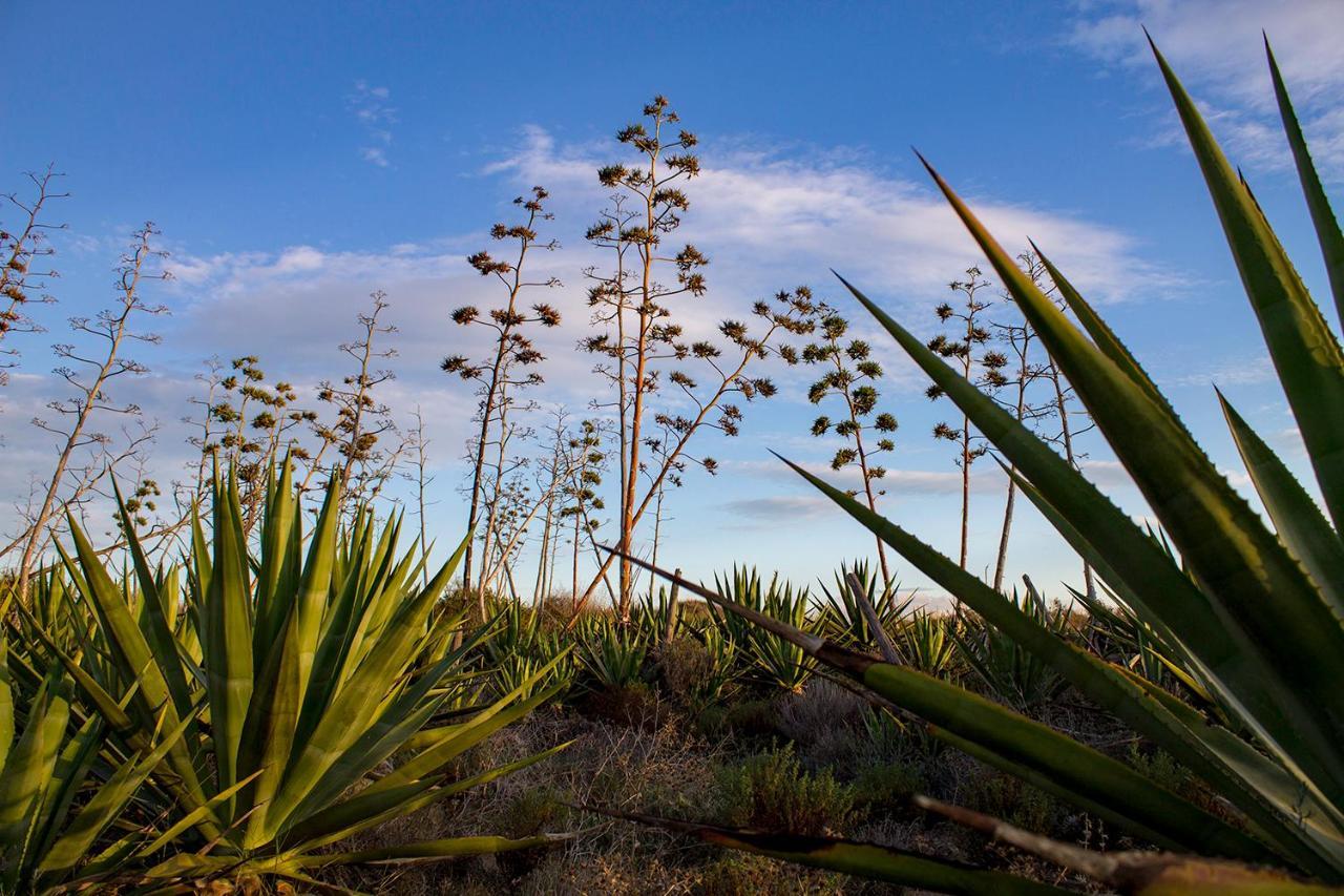 La Palmera. El Amanecer En El Parque Natural 아쿠아아마르가 외부 사진