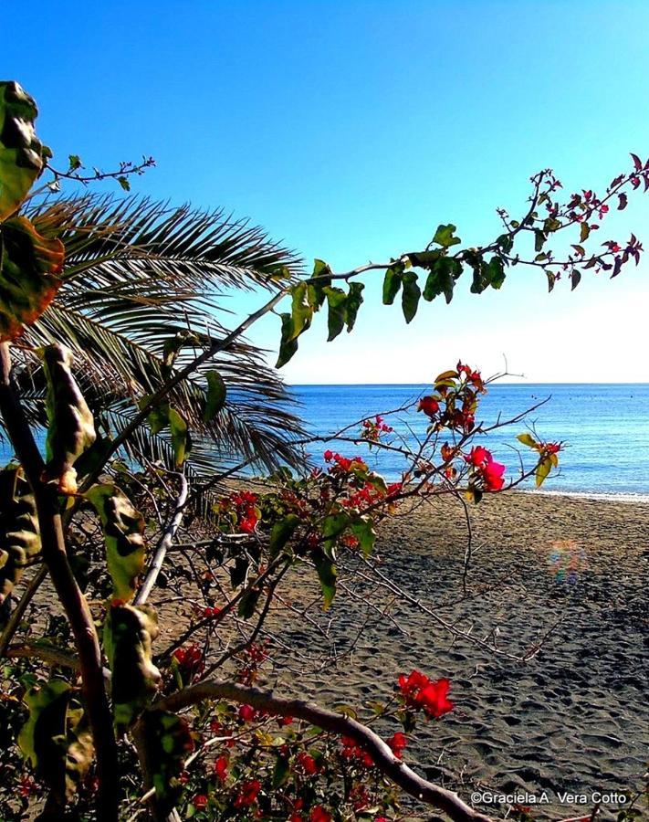 La Palmera. El Amanecer En El Parque Natural 아쿠아아마르가 외부 사진